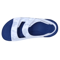12. Toezone Retail